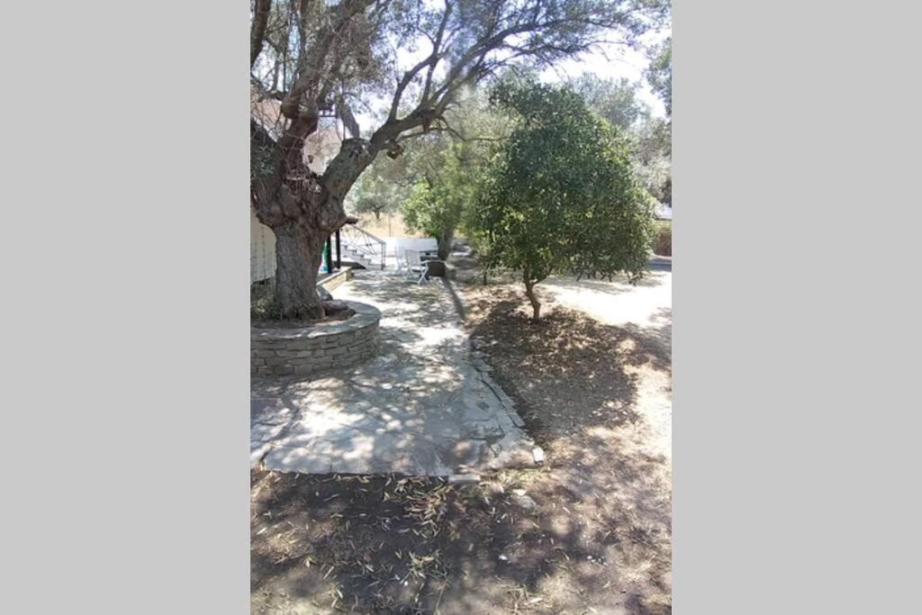 Villa Nefolia Vourvourou Esterno foto